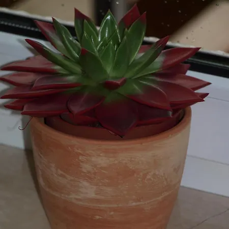 Haus Seeblick ホテル ニデッケン