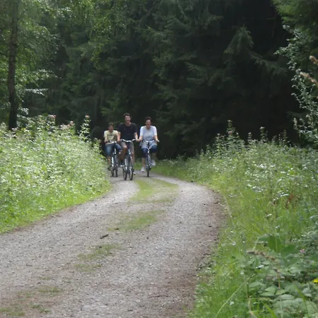 Haus Seeblick ニデッケン