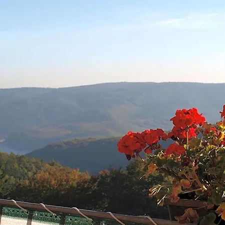 מלון Haus Seeblick נידגן