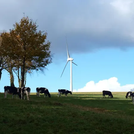 Hotel Haus Seeblick 3*