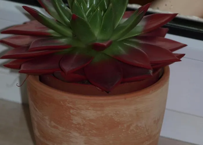 Haus Seeblick Hotel Nideggen