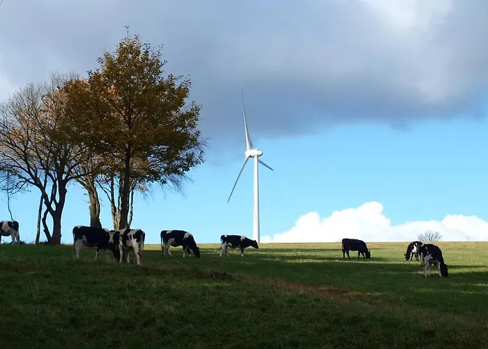 Hotel Haus Seeblick 3*